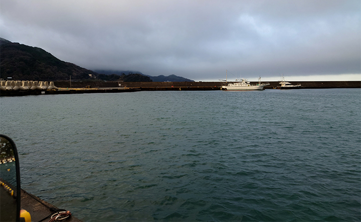 土肥漁港(2023年 静岡県)