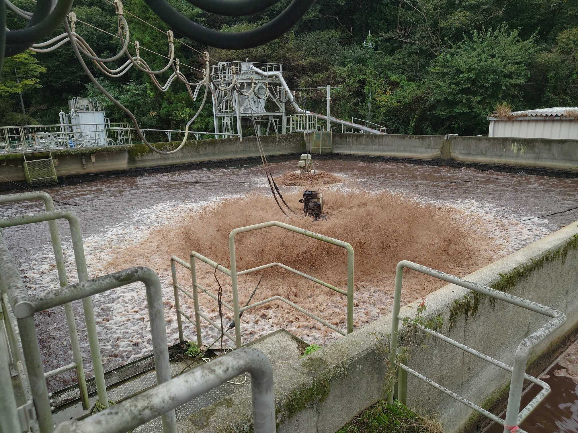 サントリー梓の森(2024年 栃木県)